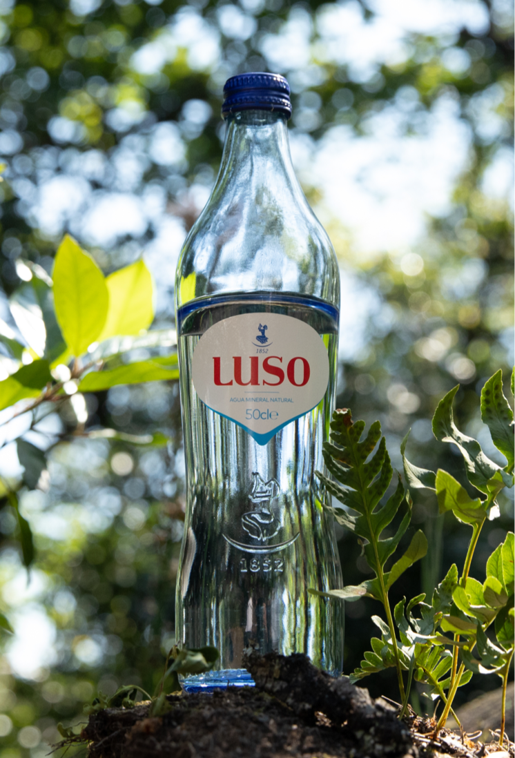 Garrafa Vidro Retornavel Luso (1)