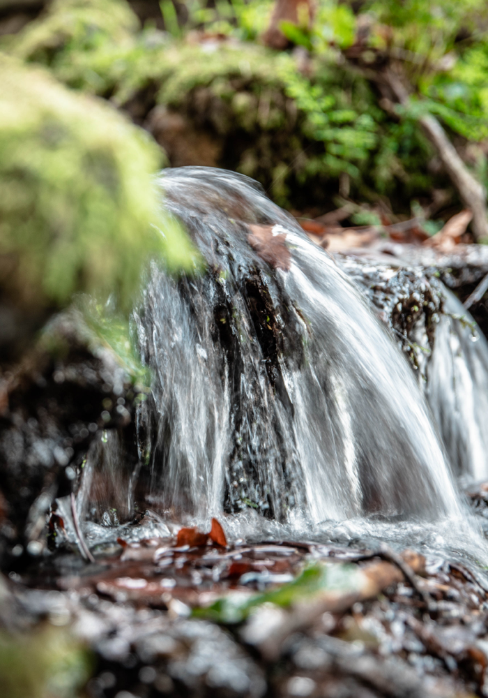 Agua Luso Ciclo Luso