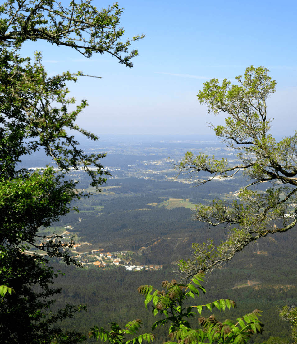Serra Do Bussaco