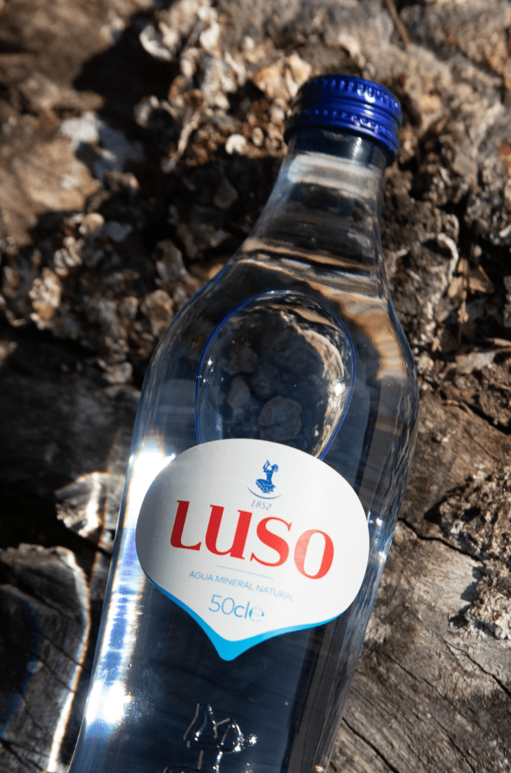 Newsletter Agua Mineral Luso
