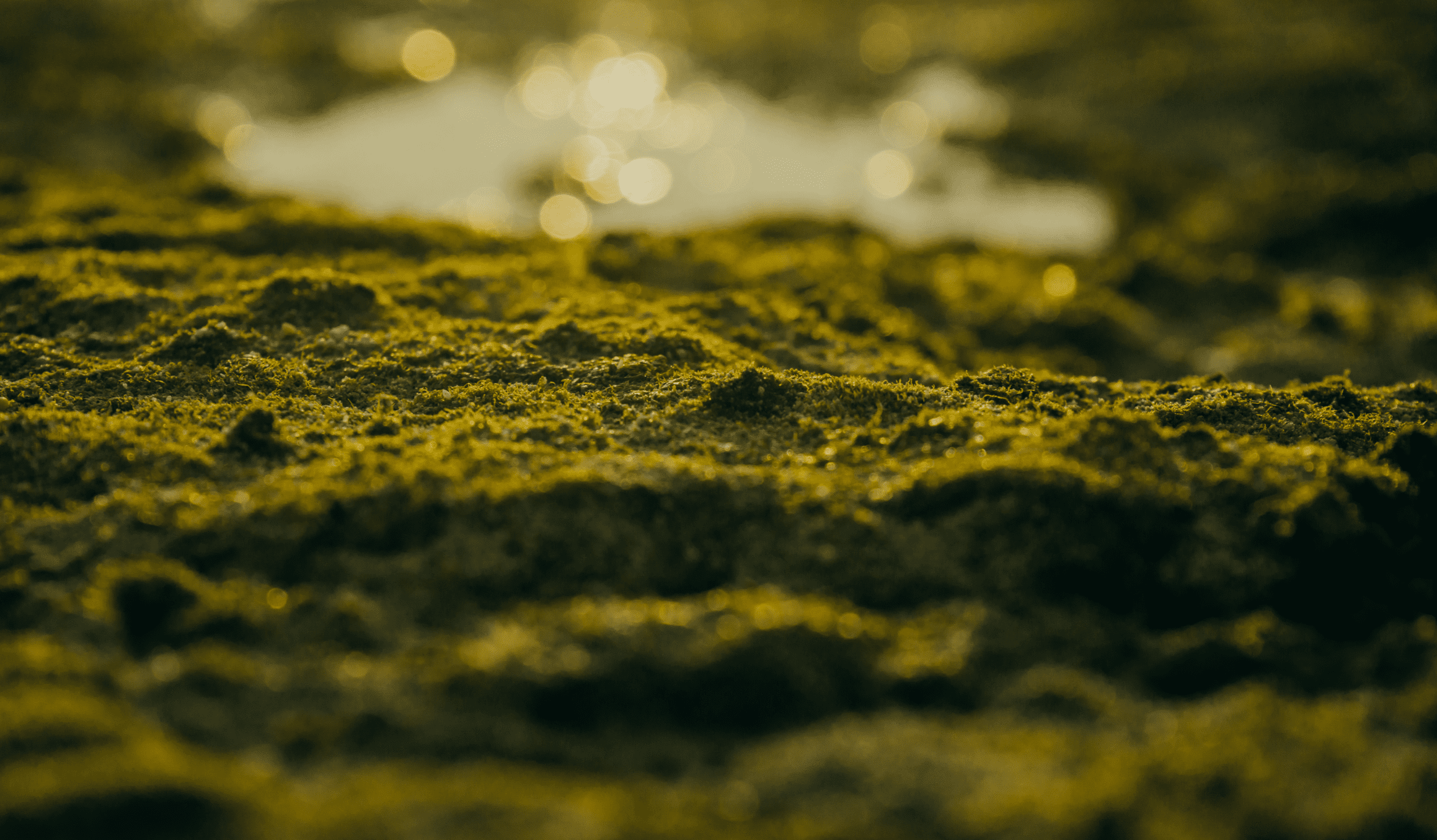 Agua Luso Sustentabilidade Ambiental