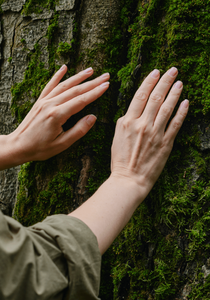 Agua Luso Sustentabilidade